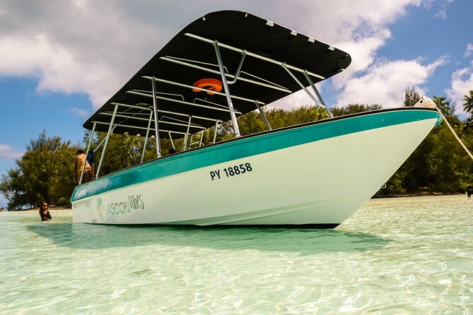 Private tour whale watching and snorkeling in Moorea - Who Gets the Best Value From This Experience