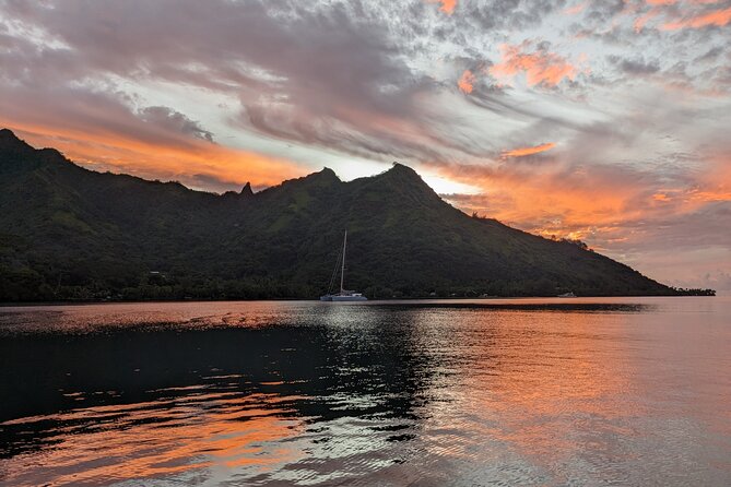 Private Tour Whale Watching Half Day Tour - Setting a realistic standard for the boat