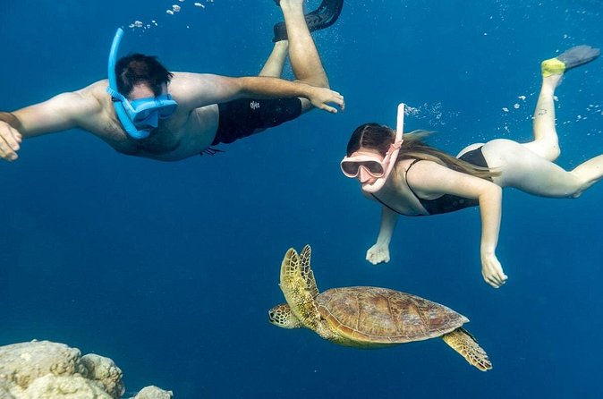 Private Turtle and Ray Tour Rarotonga - The 90-minute water session and the two-hour booking window