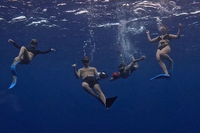 Private Whale Watching Adventure in Mo'orea - Meeting at Plage de Tiahura at 8:00 am