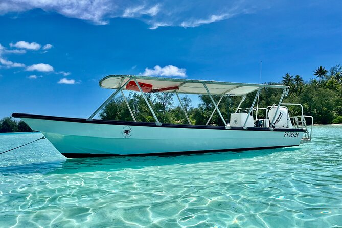 Private Whale Watching Adventure in Mo'orea - Weather can change the whole outing