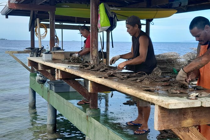 Raiatea-Beautiful Black Pearl of Tahiti and the Vanilla of Tahaa - Lagoon wildlife and the return to Raiatea