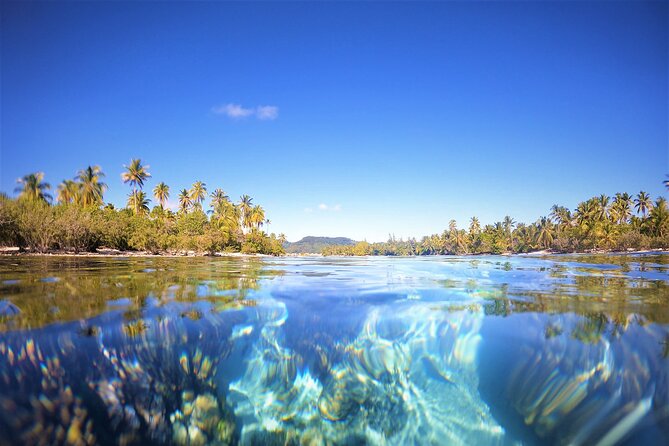 Raiatea-Tahaa Snorkeling in our beautiful Coral Garden - How the guides shape the experience