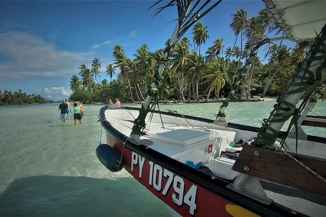 Raiatea-Tahaa Snorkeling in our beautiful Coral Garden - What you can see beneath the surface
