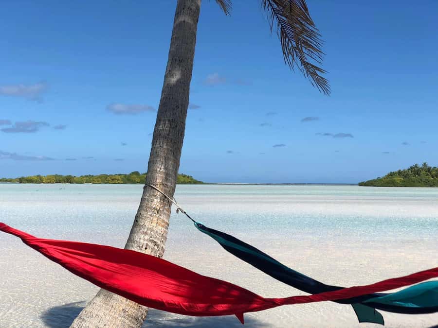 Rangiroa: Blue Lagoon Tiputa Pass Coral Garden Island Birds - Key points to know before you book