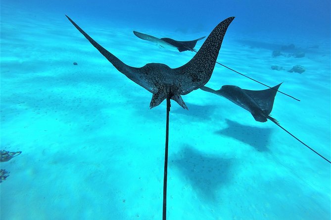 Reef Discovery Half Day Group Signature Tour - Weather can change the whole day