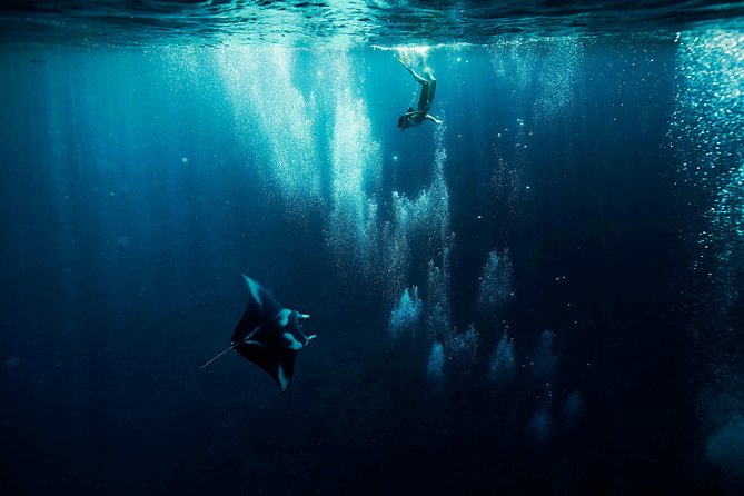 Reef Discovery Half Day Group Signature Tour - The manta ray station comes first