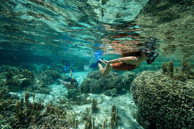 Reef Discovery Luxury Private Snorkeling Lagoon Tour - A guide who helps you notice more