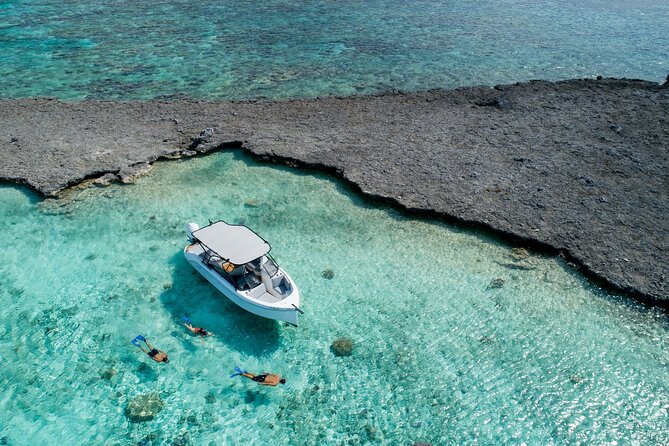 Reef Discovery Luxury Private Snorkeling Lagoon Tour - The real value of the $941.51 price