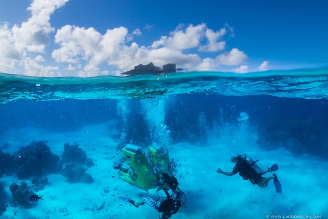 Reef Discovery Private Half Day Lagoon Tour - What private really changes