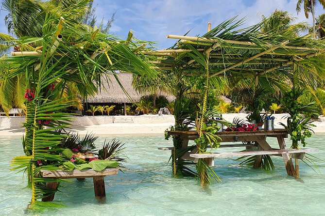 Reef Discovery Private Half Day Lagoon Tour - Weather, cancellation, and sensible planning