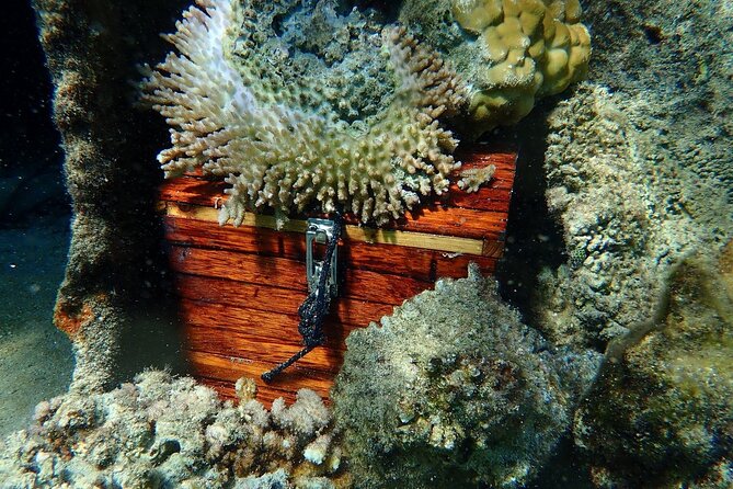 Reef Discovery Private Treasure Hunt - Equipment, pickup, and the 9:00 a.m. start