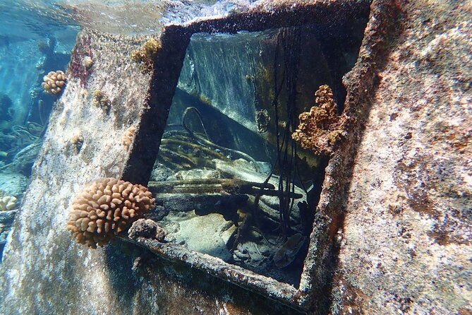 Reef Discovery Private Treasure Hunt - Should you book the Reef Discovery Treasure Hunt?