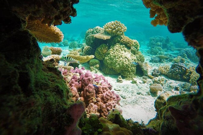 Reef Discovery Private Treasure Hunt - Reaching the shipwreck and the pirate treasure