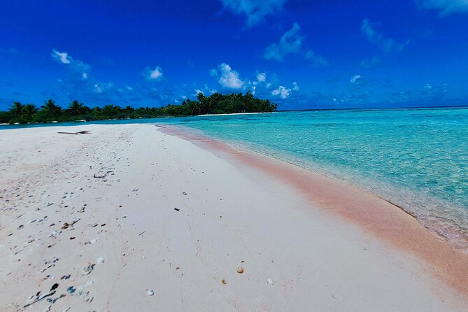 REEF ISLAND | private island | pink sand | natural swimming pools - Why Reef Island feels different from other Rangiroa trips