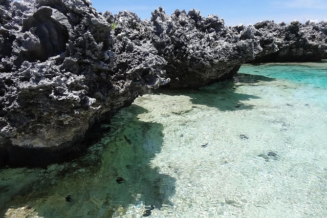 REEF ISLAND | private island | pink sand | natural swimming pools - Pink sand, natural pools, and free time