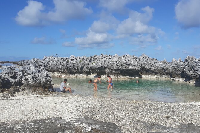Reef island private tour - The Tiputa Aquarium Snorkel