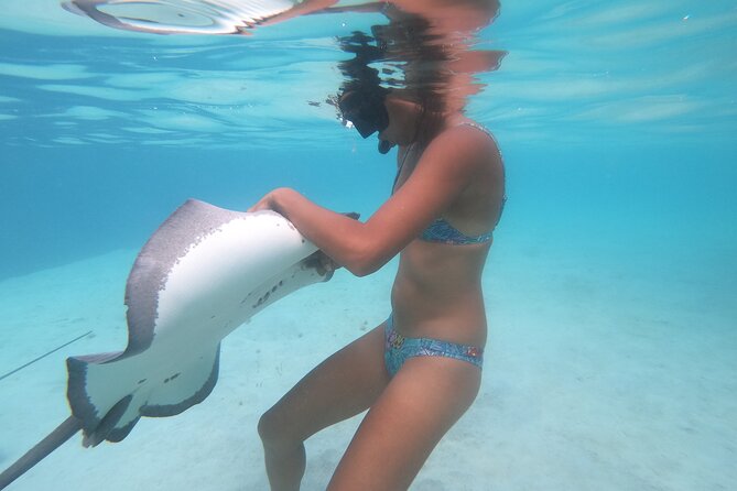 Respectful whale excursion to Tahiti in 4h30 - The lagoon stop and 30 minutes of snorkeling