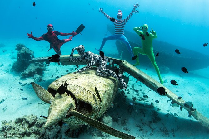 Respectful whale excursion to Tahiti in 4h30 - Is the $222 price fair?