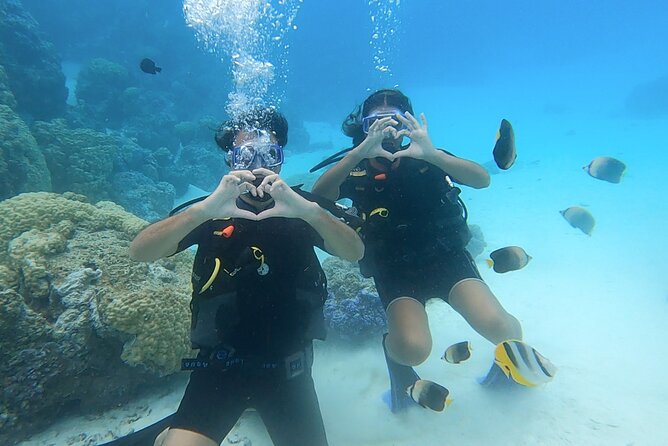 Romantic Dive for beginners in Bora Bora (2 people) with Video - A first taste of scuba in Bora Bora