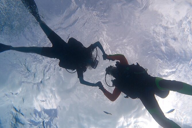 Romantic Dive for beginners in Bora Bora (2 people) with Video - Timing, weather, and flight planning
