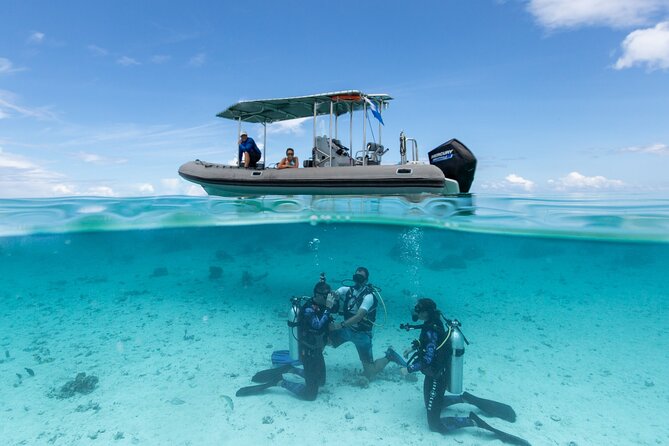 Romantic dive in the lagoon of Bora Bora. Private instructor on a shared boat - Safety comes before the romantic surprise