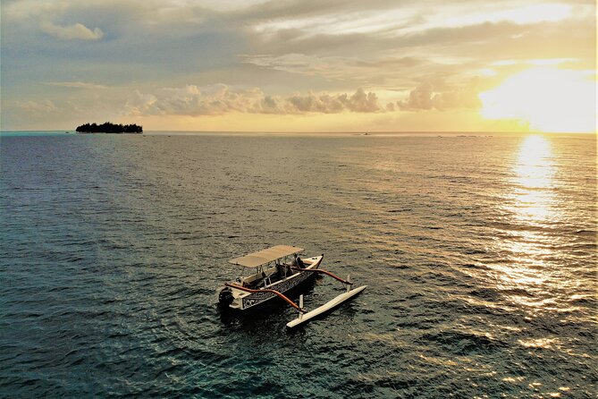 Romantic Private Sunset and Motu Dinner for Two - Who Should Book This Bora Bora Dinner