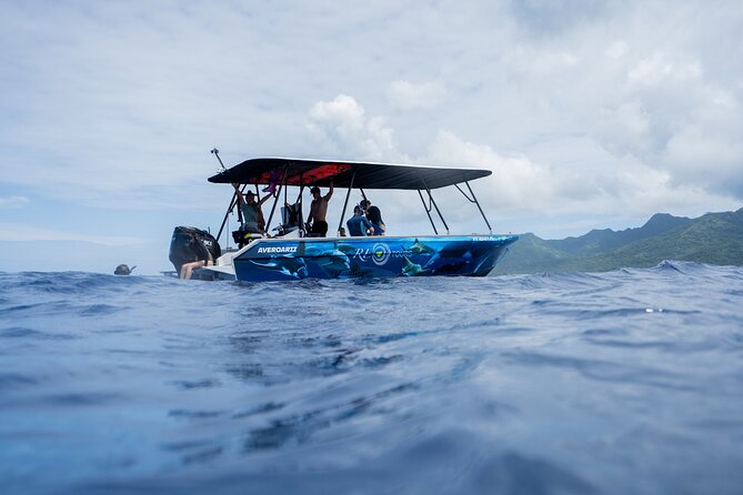Sacred Experience Swimming with a Whale in Moorea - What is included for $157.90