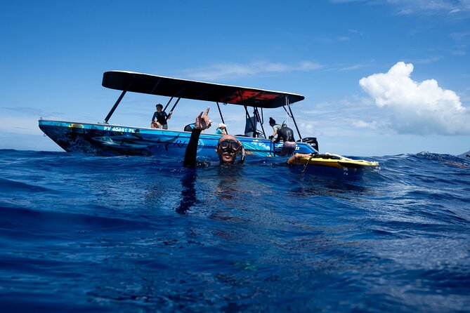 Sacred Experience Swimming with a Whale in Moorea - From Marina Vai’are to the open sea