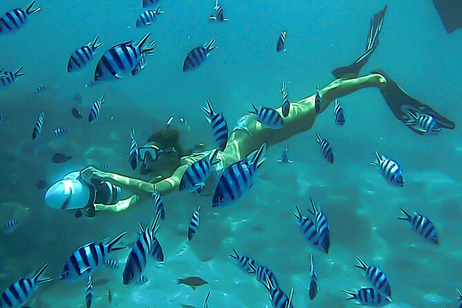 Sea Scooter Snorkel Tour - Lagoon Discovery : Wrecks, Coral Gardens and Tropical Fishies - Why the Aquarium lagoon is the main attraction