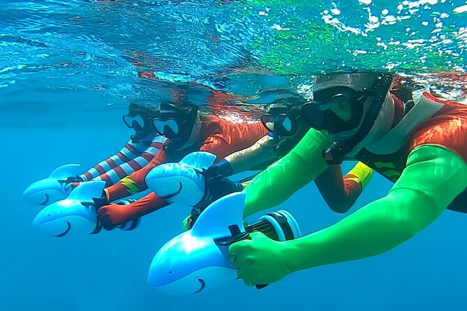 Sea Scooter Snorkel Tour - Lagoon Discovery : Wrecks, Coral Gardens and Tropical Fishies - Coral gardens and fish fill out the picture