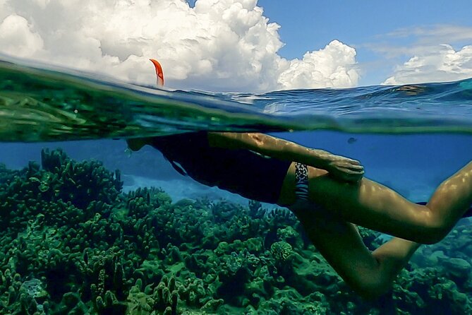 Sea Scooter Snorkel Tour - Lagoon Discovery : Wrecks, Coral Gardens and Tropical Fishies - Small groups make the instruction more useful