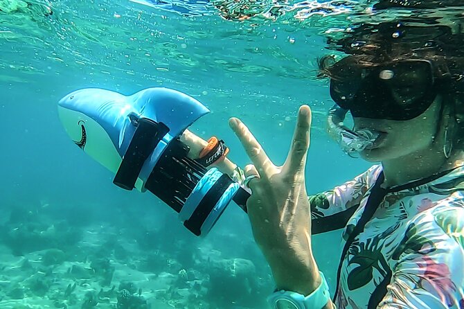 Sea Scooter Snorkel Tour - Lagoon Discovery : Wrecks, Coral Gardens and Tropical Fishies - Is $109 a good value?