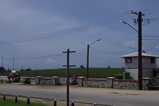 See Hear and Experience Full Island tour - Churches, parks, and harbor-side Tonga
