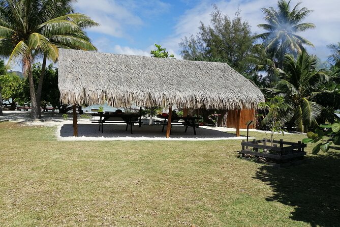 SHARED FULL DAY CULTURAL & LAGOON TOUR - Bora Bora Cultural Lagoon Tour - Fruit trees and medicinal plants