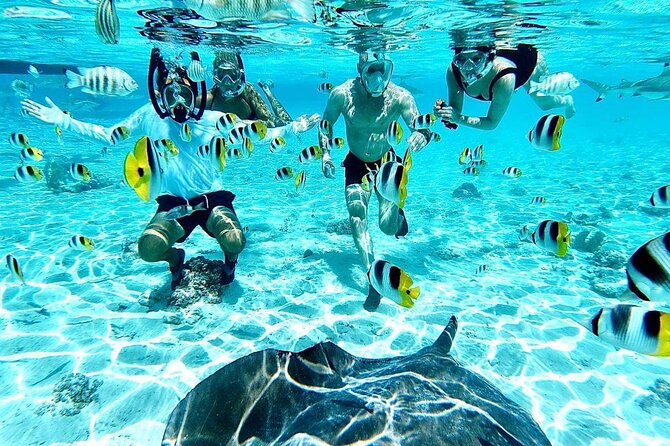 SHARED HALF DAY LAGOON TOUR - Bora Bora Cultural Lagoon Tour - Key points at a glance