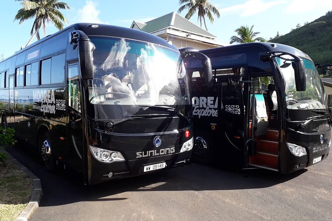 Shared Transfer : Moorea Airport (or) Pier to Hotel - Arriving at Moorea Airport with a simple handoff