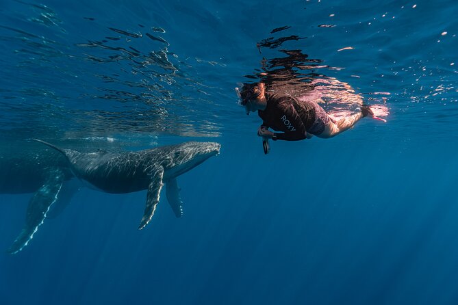 Shared Whale Expedition - Physical demands and comfort