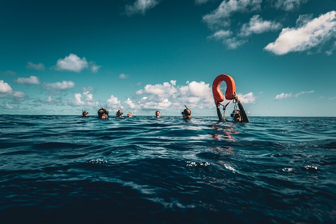 Shared Whale Expedition - Weather, timing, and the wildlife factor