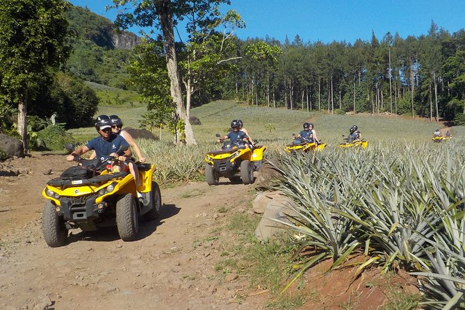 Small Combo 2h30 Quad + 1h Jetski - Pineapple fields and local products