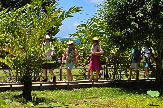 Small Group Shared Half Day Tahiti Tour Waterfalls&Scenic Coast - Marae Ta’ata and the spiritual side of Tahiti
