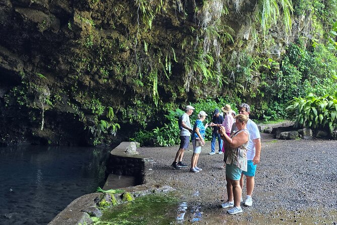 Small Group Shared Tahiti Circle Island Waterfalls and Views - Vaipahi Water Gardens: an easy botanical pause