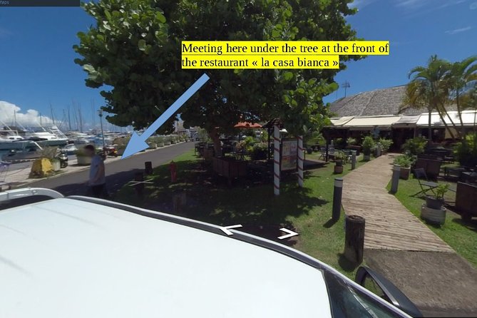 Small group snorkeling (5 people max): Turtles at 7:30am - Why the turtles make this Tahiti trip special