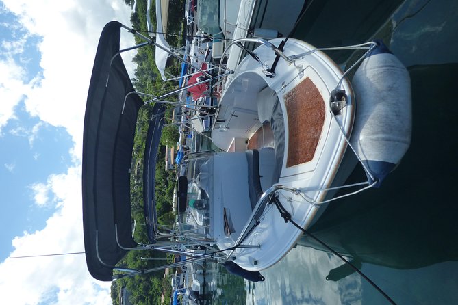 Small group snorkeling (5 people max): Turtles at 7:30am - Practical planning for Taina Marina