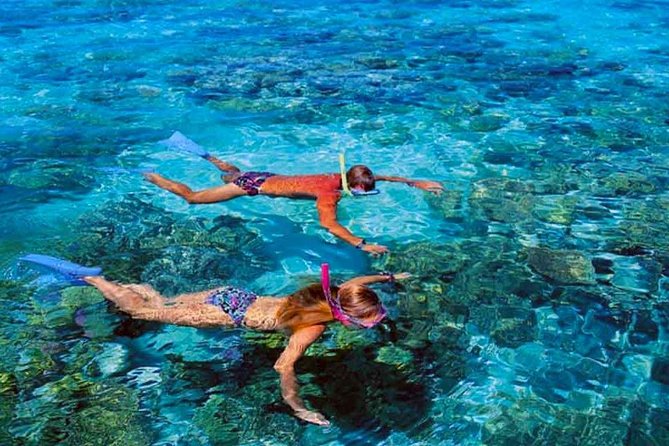 Small group snorkeling (5 people max): wrecks & tropical fishes at 1:00pm - The plane wreck and two boats