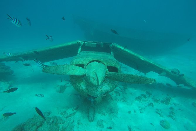Small group snorkeling (5 people max): wrecks & tropical fishes at 1:00pm - Captain Benoit’s guiding style