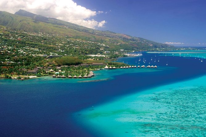 Small group snorkeling (5 people max): wrecks & tropical fishes at 1:00pm - Is $99.67 a fair price?