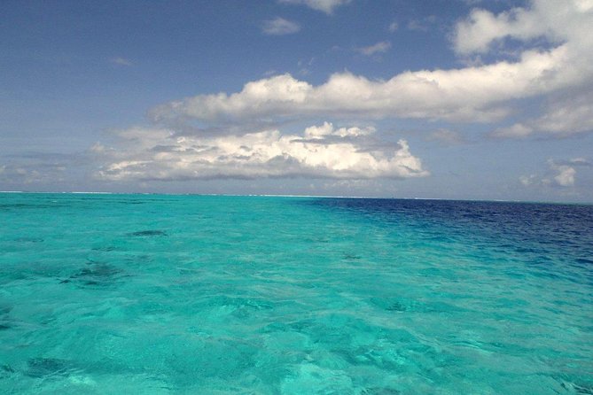 Small group snorkeling (5 people max): wrecks & tropical fishes at 1:00pm - The safety briefing and time in the water
