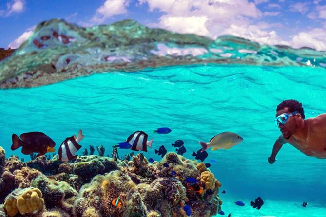 Small group snorkeling (5 people max): wrecks & tropical fishes at 10:30am - Photos are a useful extra