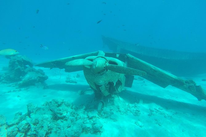 Small group snorkeling (5 people max): wrecks & tropical fishes at 3:30pm - Key points about Tahiti’s Aquarium snorkeling